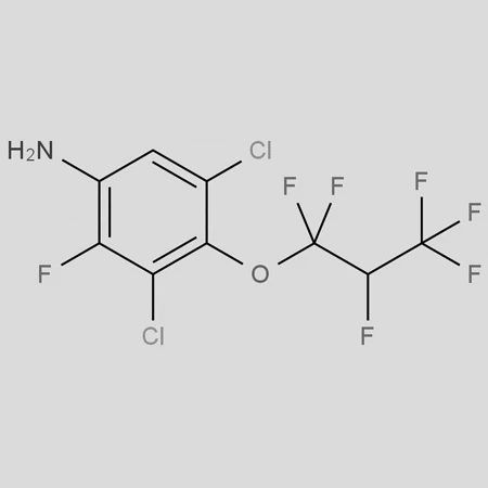 CAS 121451-05-6|3,5-дихлор-2-фтор-4-(1,1,2,3,3,3-гексафторпропокси)анілін