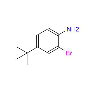 CAS: 103273-01-4 丨 2-бромо-4-три-бутиланілін